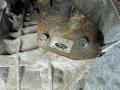 КПП механическая (МКПП) Volvo V50 1 поколение 2007, 1.8 л., B 4184 S11, бензин, 3M5R7002XC - фото №5