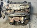 двигатель Peugeot 406 1 поколение [рестайлинг] 2003, 2.0 л., RHZ (DW10ATED), дизель, RHZ, DW10ATED - фото №4