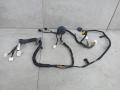 дверная проводка Nissan Qashqai J10 [рестайлинг] 2012, 24124BR00C - фото №4