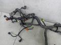 проводка двигателя Nissan Qashqai 1 поколение 2008, 1.5 л., 24011JD03E - фото №5